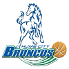 McKinnon Cougars