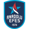 Anadolu Efes Sports Club