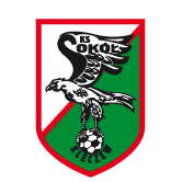 Slask Wroclaw II