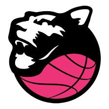 BCC Derthona Basket (W)