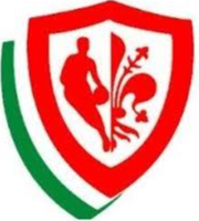 Vicenza U19